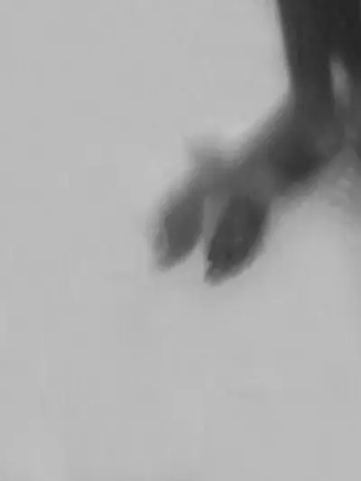 Bodyshapes, photographie digitale abstraite noir et blanc #1 Bodyshapes, photographie digitale abstraite noir et blanc #1