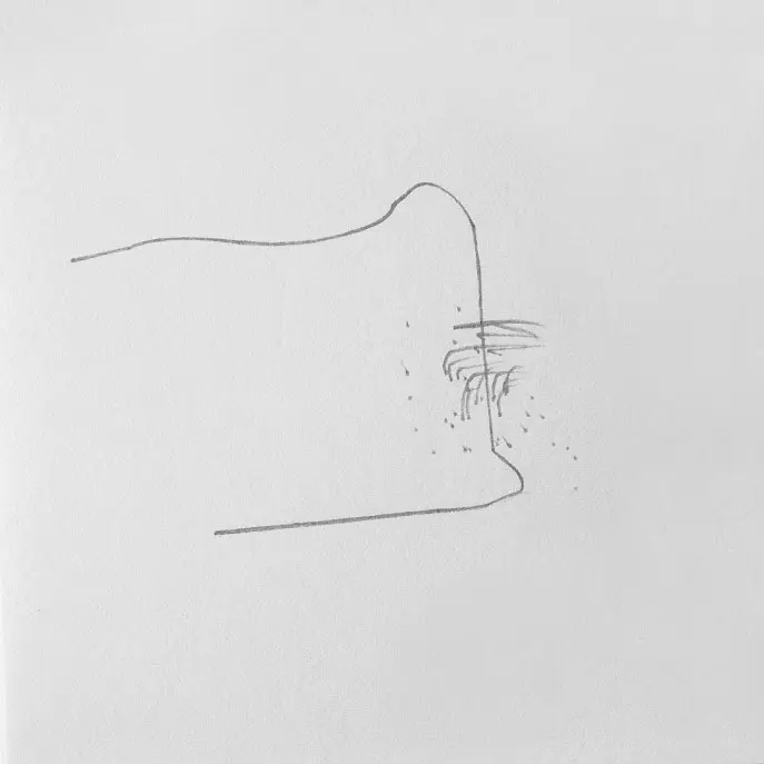 Au-fil-d'un-écrin-dessin-automatique-Olivia-Appelius01